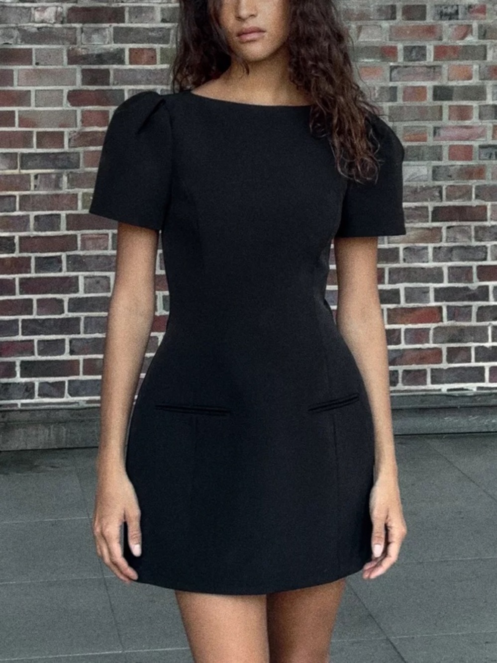 Zara Short Pleated Pocket Dress